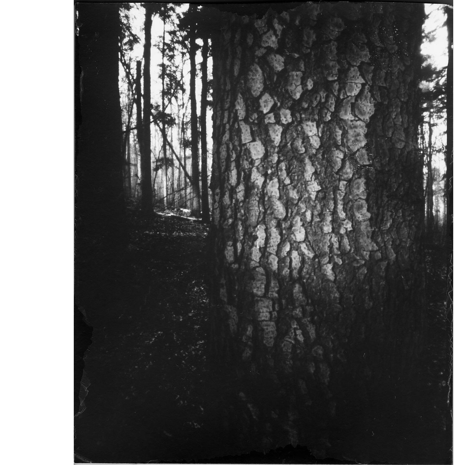 fotograf daviddoros | Dávid Doroš ...lepšie je raz vidieť